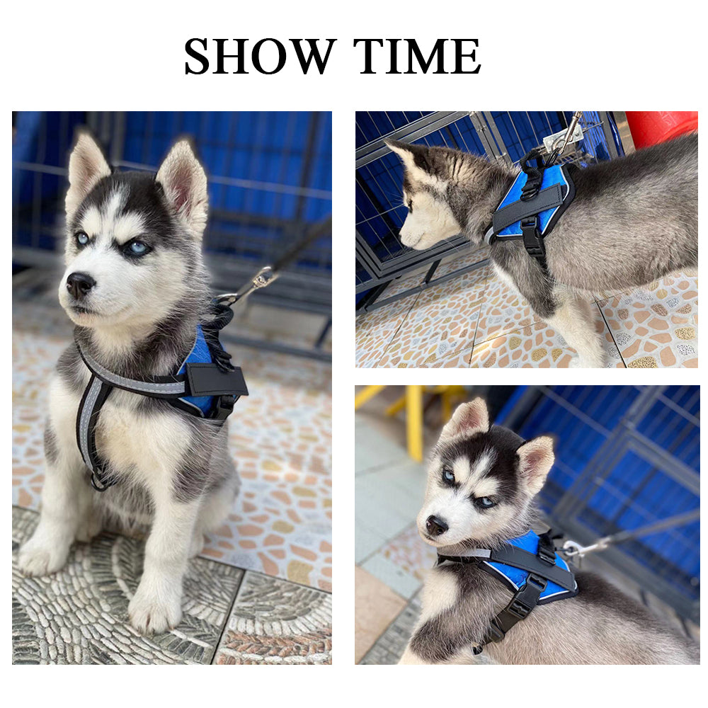 The Pet Leash Chest Harness Is Durable Comfortable And Light